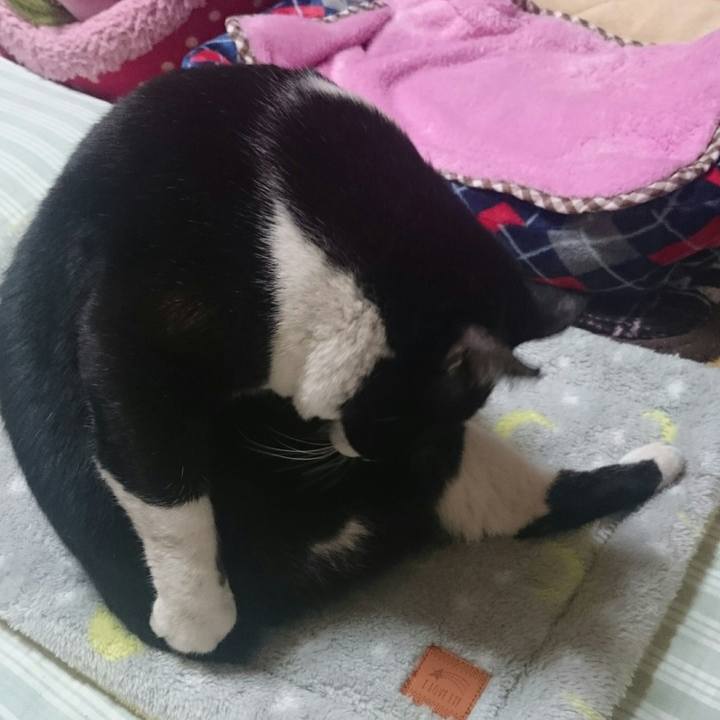 14eecf8c 0912 4e2c bf4f a48f73a0bd88 1510538402586