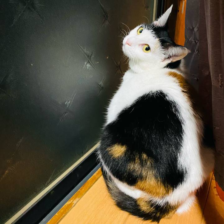 14eeec6b 9535 4dad 98af 3f949dfe6b40 1673559899480