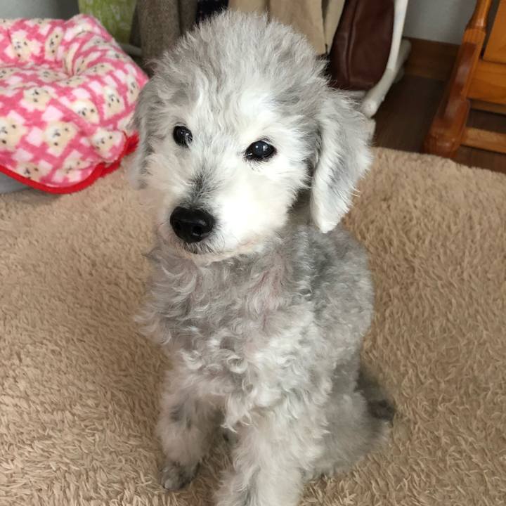 14ef0889 cdaa 42af 8fe0 bdff45a96799 1578447451038