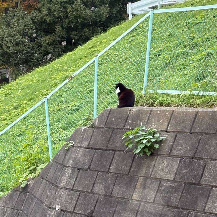 14ef3739 7dd8 422c b65c d35447ed629f 1762820663434