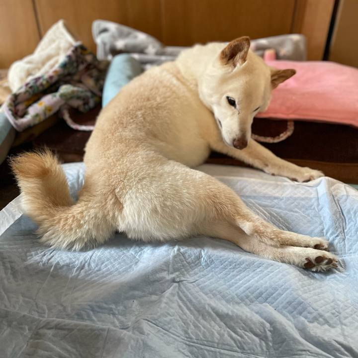 14ef4fe9 0d17 4eac 955c 5eaef48f1aee 1647759244701