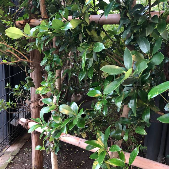 14ef65e2 8515 478c 8aee 12a5f96cf1ca 1569071593053