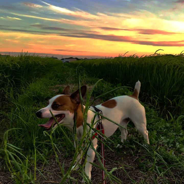 14ef8461 c67e 4386 a6ef 7db8a55ee278 1532949996026