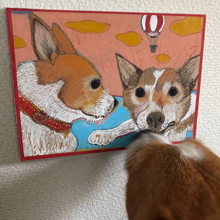 14efbc4e fea3 481b 8b69 bb4c5b0f4a2f 1513513187010