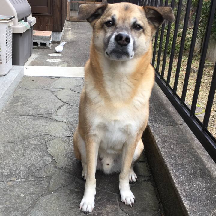 14eff803 f423 444a a620 2e6457e4eea2 1514686336729