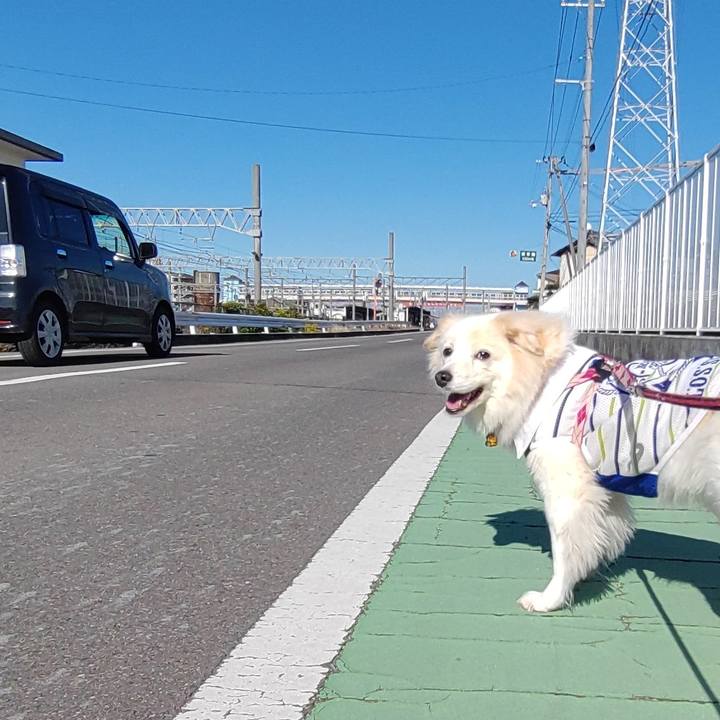 14f00c17 bf5b 4f3d bc30 6181d6616b1a 1667192838859