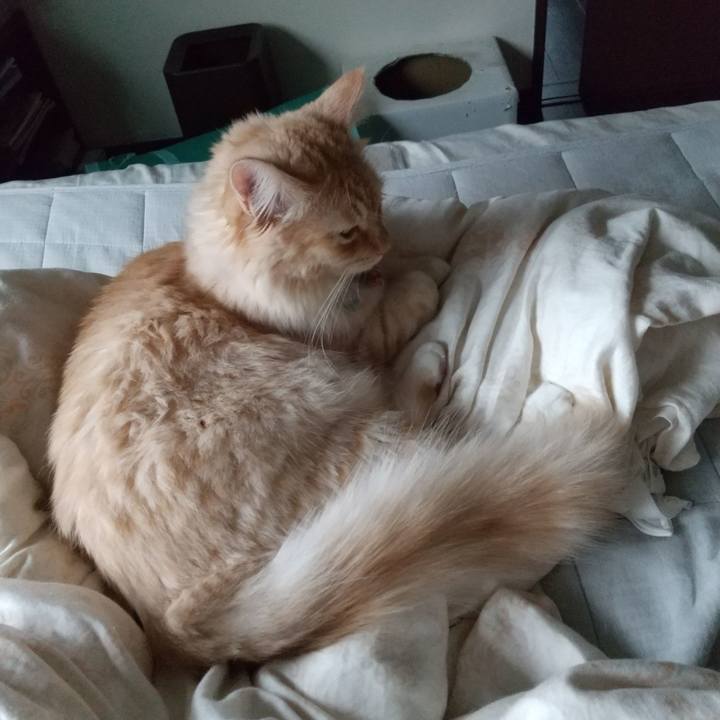 14f020c4 39cd 4cf9 b180 c5d3d00076e8 1631397657398