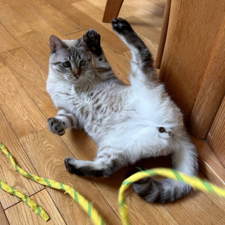 14f0419a 9dcc 44a8 b55a a82cee8a4a15 1763345310708