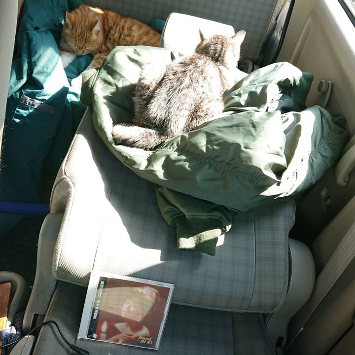 14f079b0 1353 4b9e bfcf 3b4426bedcbf 1583546034217