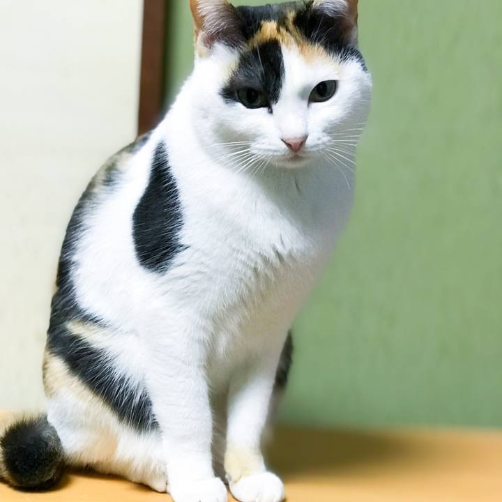 14f0e192 9b52 43b0 b0cb fb69f3ba9d3b 1519606320080