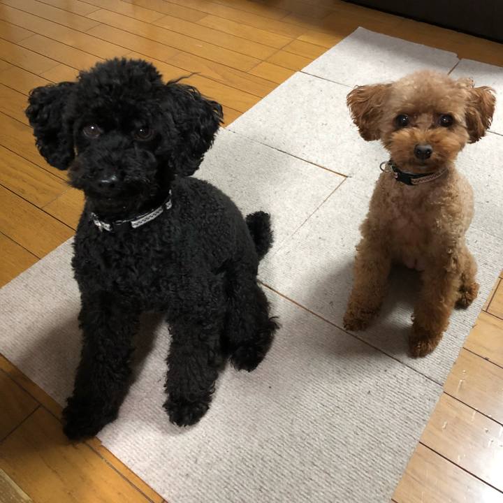 14f100b2 409e 4d56 b5af a90fcc919697 1543962366958