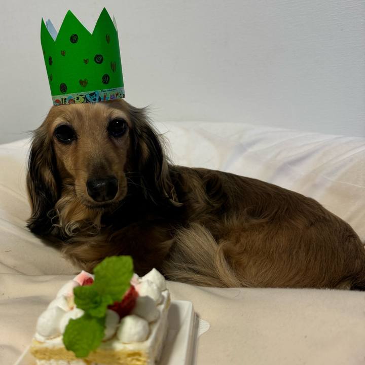 14f12892 5564 4e2d a155 5e94132a6295 1727871585015