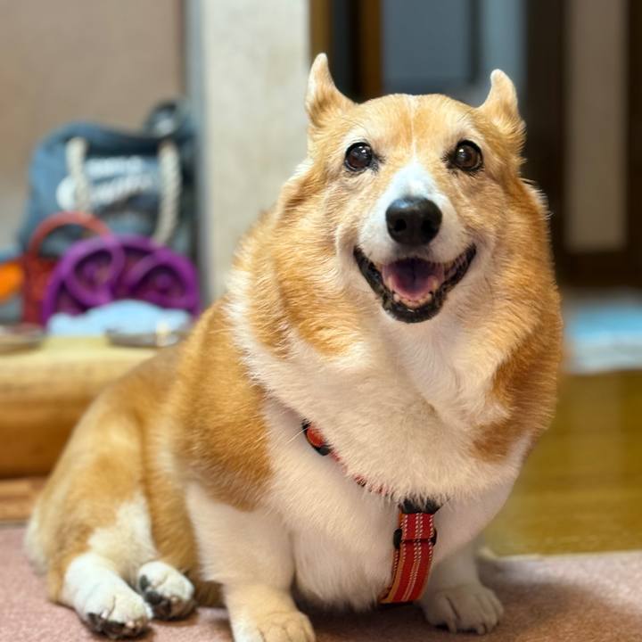 14f1a24e 6116 4385 a871 96d639094d9b 1764732867073