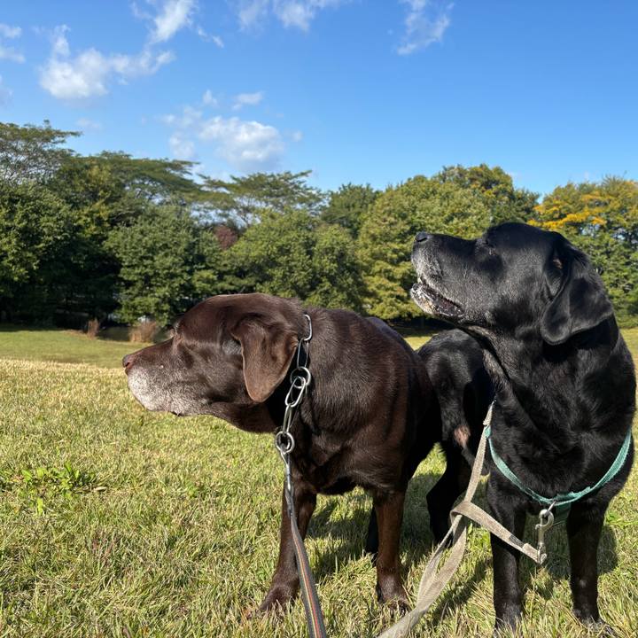 14f1af3f 6c05 49ad b804 a2cf46c6dee4 1762866483413