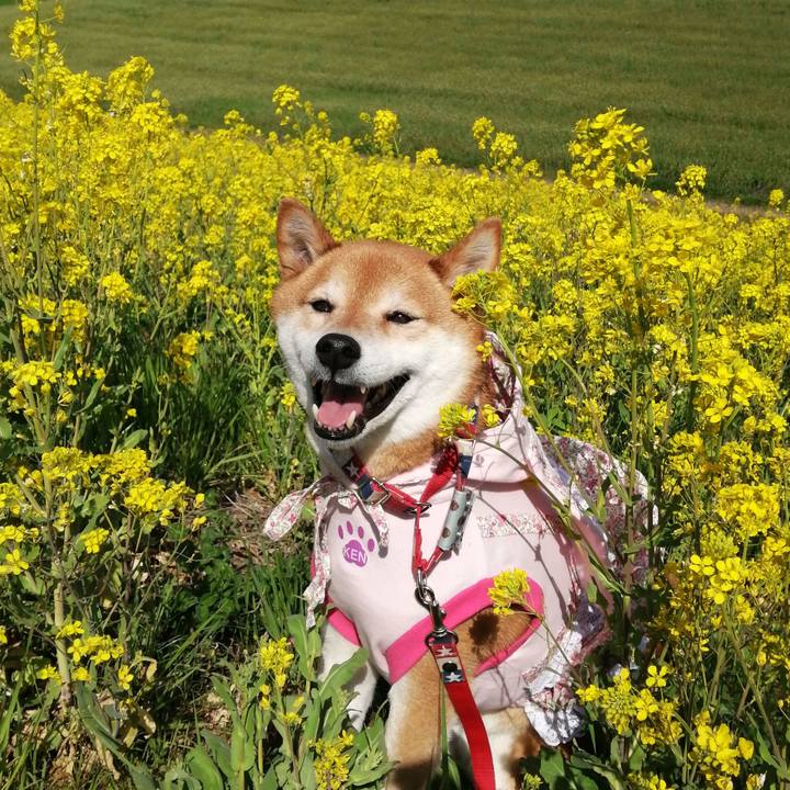 14f1e1f3 4413 4054 b94f ba4a5209c402 1679489637042