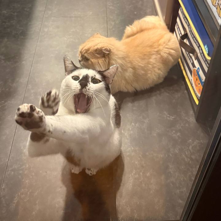 14f2131a b26b 4419 a758 d5d36b05998d 1761965563780