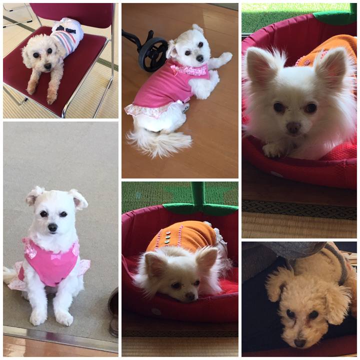 14f23458 6682 45ff a6b6 daa0fc042c37 1552045209720