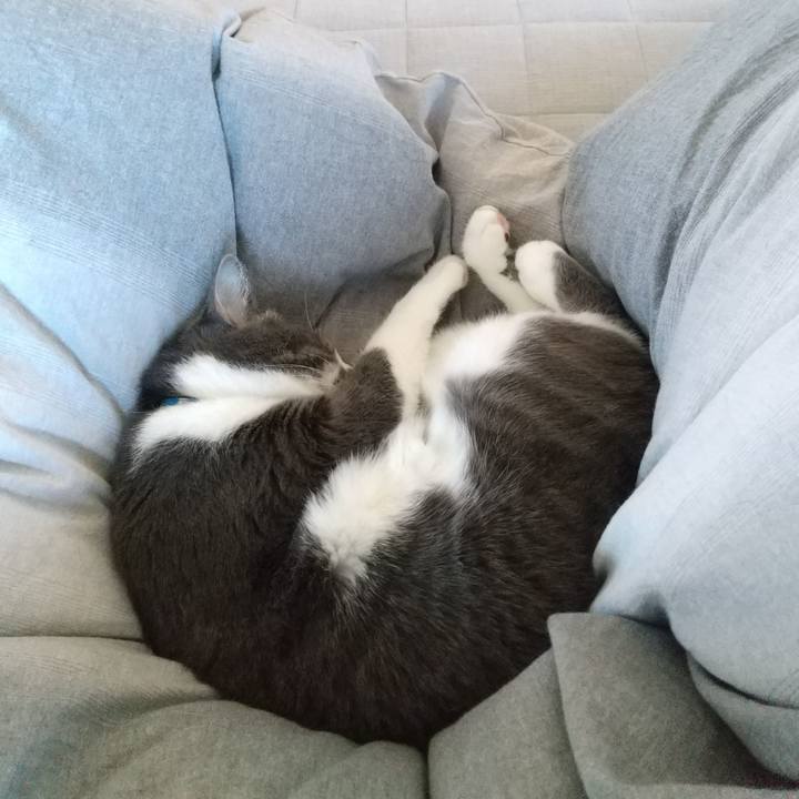 14f23cea 8ec8 4673 9234 593c015e4097 1637981120363