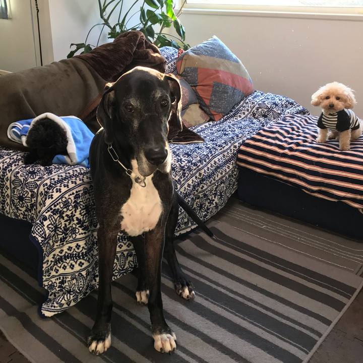 14f2622a c2cb 43a3 b3f6 70ad4fea8189 1543270785309