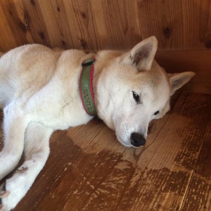 14f262b6 3560 4de3 83db 668605e52f93 1569909690269