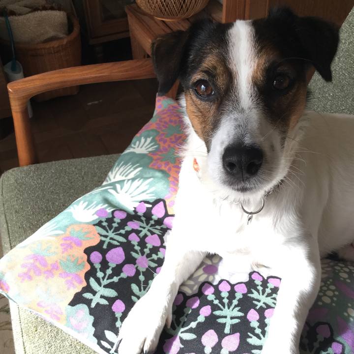 14f28e8a 0bca 4b48 8d42 5a4dc9e7ff56 1541551850642