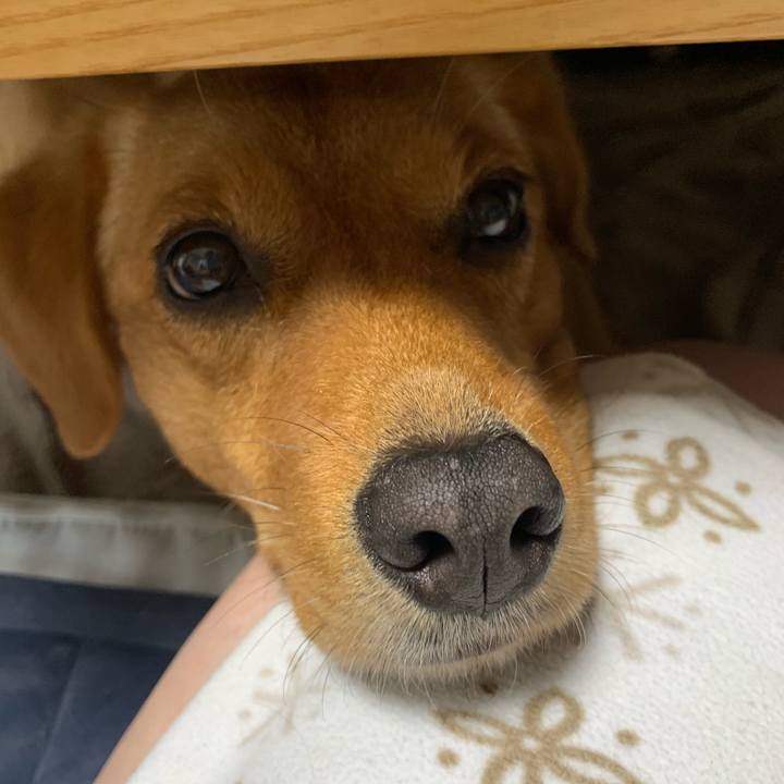 14f2bb46 6b43 460a 855f 82a069d8c0cc 1562677688862