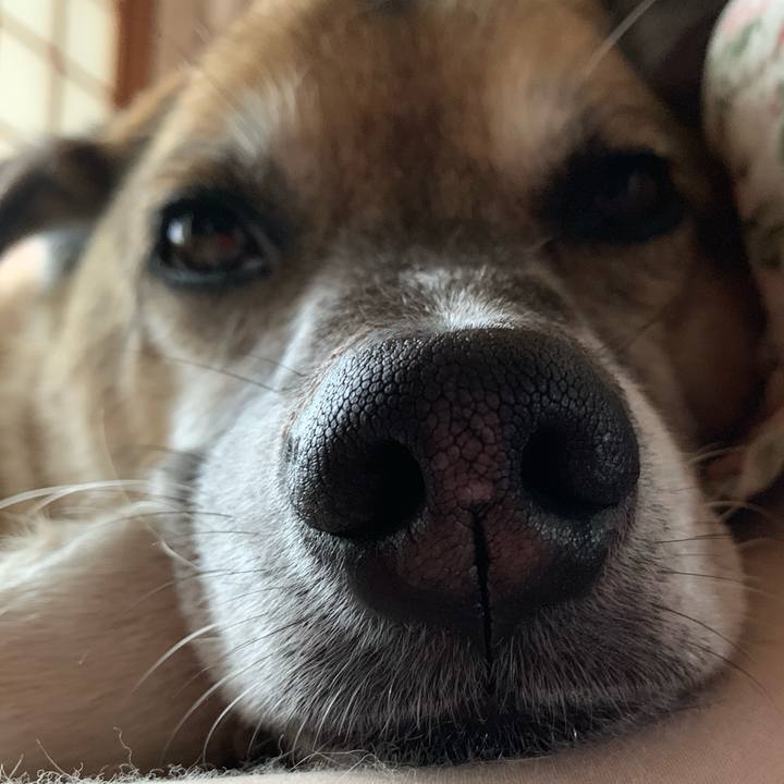 14f2d297 46cc 4d94 9026 9de6a5d65178 1575688542365