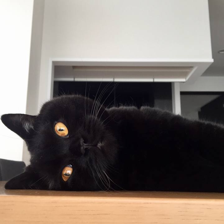 14f30055 7430 4ebc 9d65 14655207b876 1567904121845