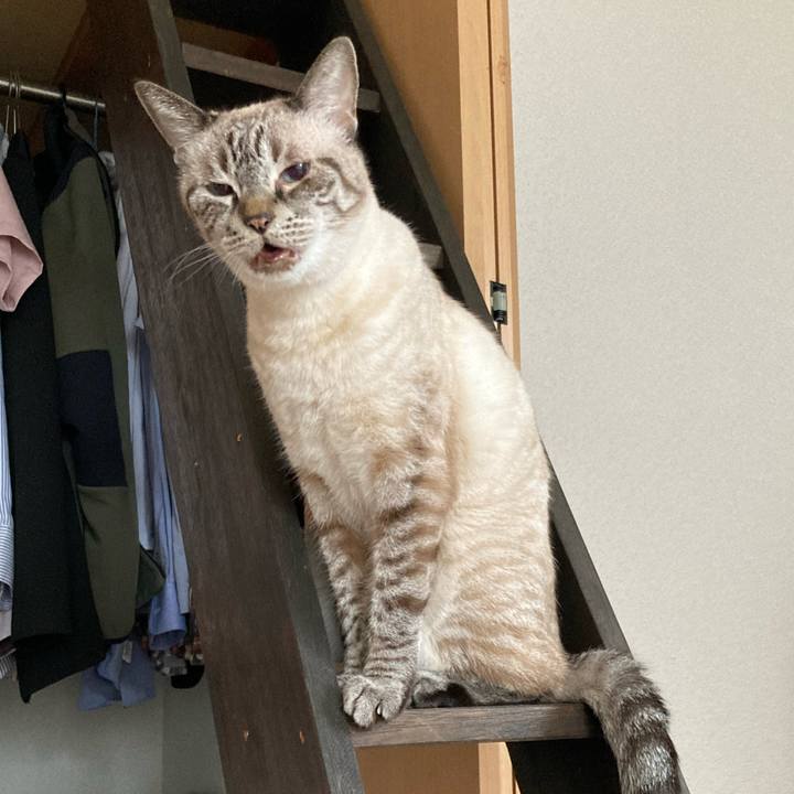 14f30e45 419d 4d6d b40d 6c1665203e33 1763946072836