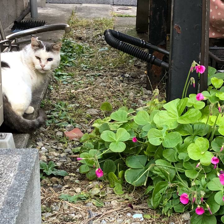 14f31464 f67e 482e b31a fa102a8171ac 1540993310612