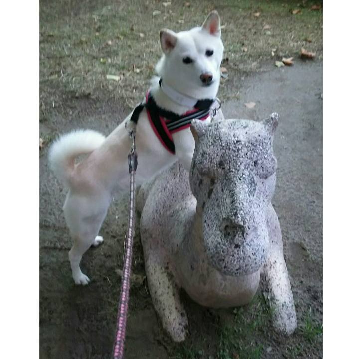 14f32305 d45f 4e7a 91f4 2db922ee43fa 1540629473648