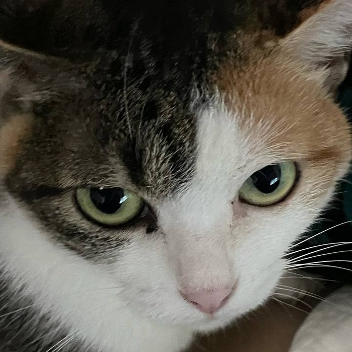 14f32b2d fa46 461d 9c1e 1213b19ef935 1623013869557