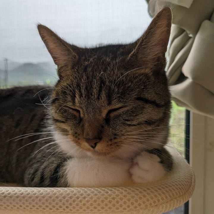 14f32b57 e522 4f29 8b76 115350bbfa45 1686791882385