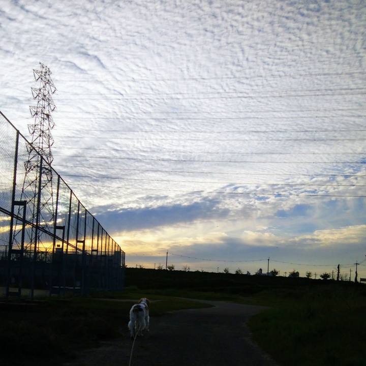 14f33d9e 6855 4603 896c eb2823cb105d 1538477696780