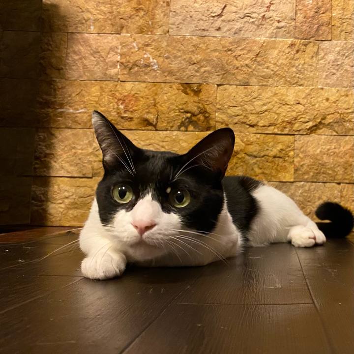 14f36e9b 33a7 401e bf98 b1ca3555cefe 1730962003299