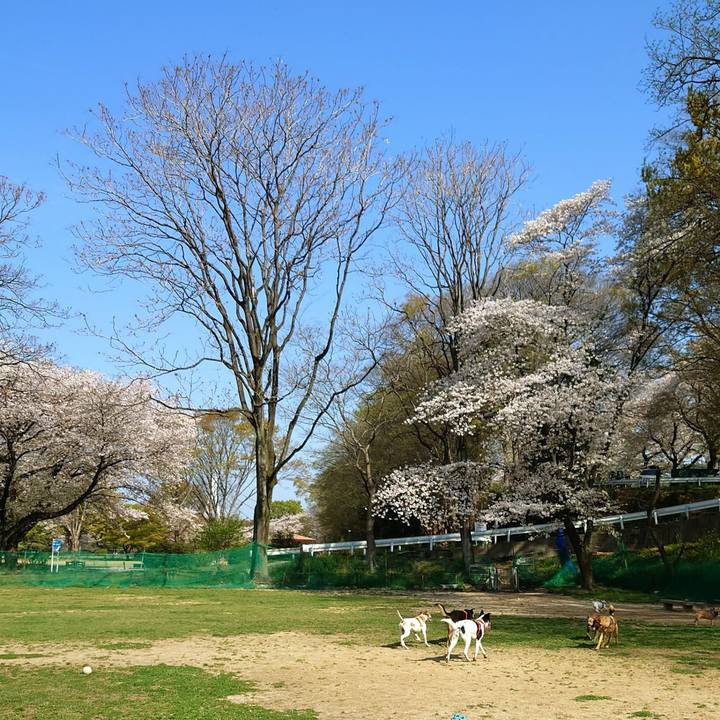 14f3bdaa 93e4 4eb4 8169 e294e7ad54d0 1712971644370