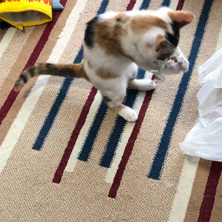 14f3c2ca a30a 4ab0 a9d7 545bcf75a310 1564011421082