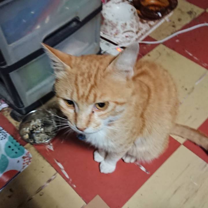 14f48108 670f 4e6b 885a 54db73ab1467 1560889703640