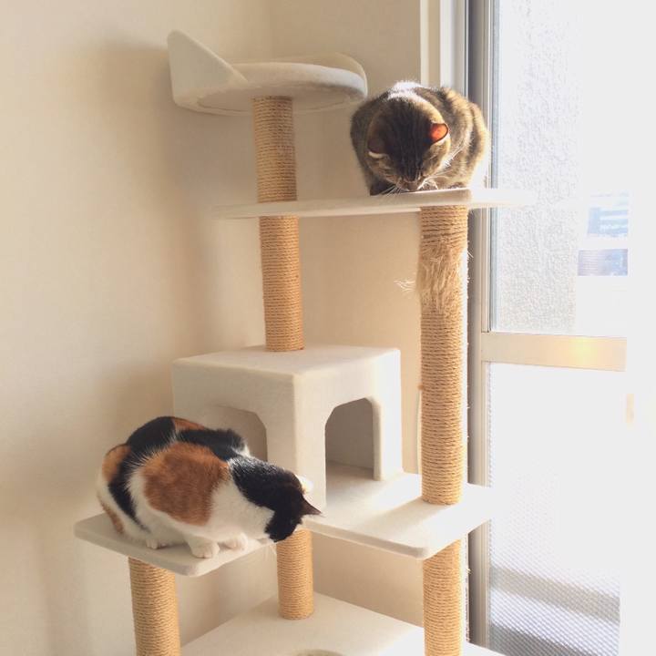 14f483de 4e4c 489f 9859 1fcca1703ed7 1542979073317