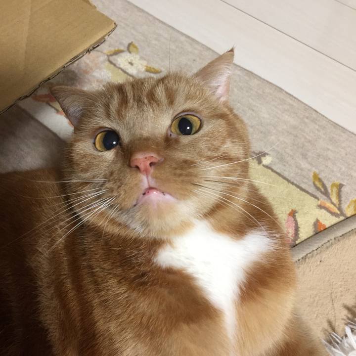 14f49059 ab28 48f5 9cf6 2264c0ad34ed 1552434527900