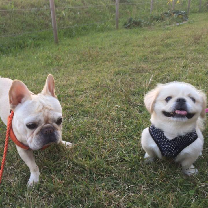 14f4bd7f bae2 479a 9a0e 2b737327a84c 1509673871102