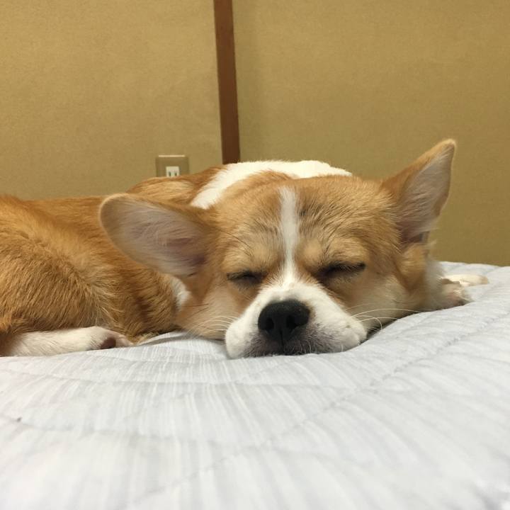 14f50fd4 0835 450b 9470 2f0c57134f00 1567125690117