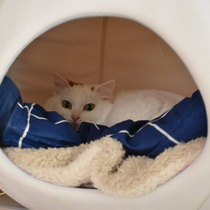 14f51751 1fe9 4646 9292 1b585fac7b9f 1770525217352