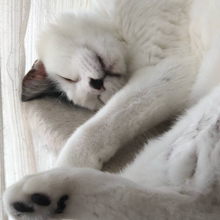 14f5177d ec45 461d ad7f 2a2e3c1fddba 1534980359343