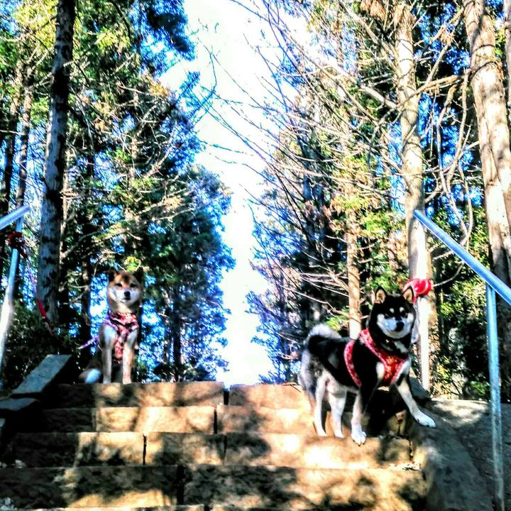 14f540e4 3b91 40c2 92b1 edd08cd282dc 1515582175555