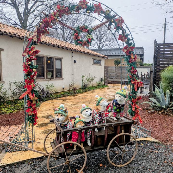 14f578f3 4342 46a1 974d f9080a364c4b 1766117595991