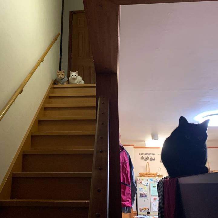 14f5fbc9 9496 45d0 a293 44d04775e379 1603466042551