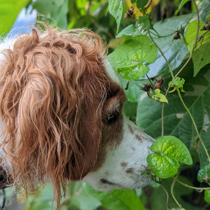 14f5fd0c 4cd1 4cee 8199 cbcfec42237f 1636443045504