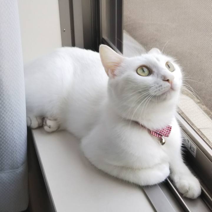 14f60f55 a6dc 4bee 8cde bb99161f2b7c 1627259949906