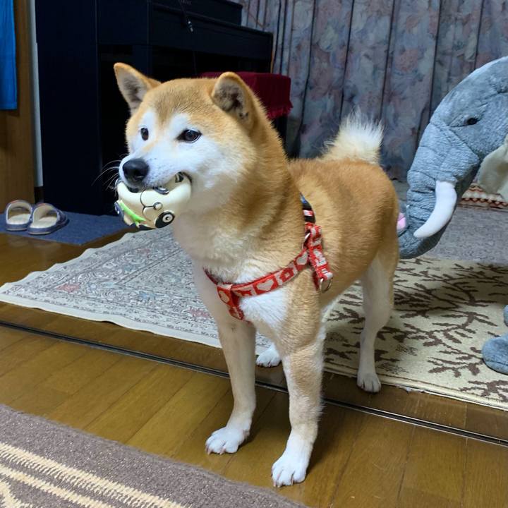 14f61031 dd6d 4f45 a206 fa6ebd6da982 1618657284011